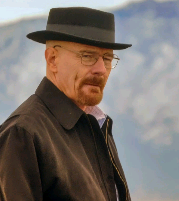     Breaking Bad 5  16   Felina